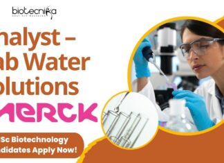 Biotechnology Jobs at Merck - Apply for Analyst Role