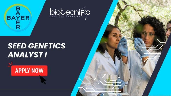 Bayer Seed Genetics Analyst Job – Biotech Apply Now