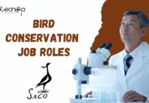 Explore Exciting Career Opportunities in Bird Conservation at SACON, Apply Now! Bird Conservation Jobs at SACON | Apply Now for Exciting Roles