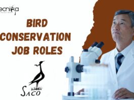 Bird Conservation Jobs at SACON | Apply Now for Exciting Roles