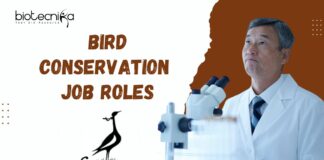 Bird Conservation Jobs at SACON | Apply Now for Exciting Roles