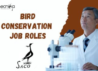 Explore Exciting Career Opportunities in Bird Conservation at SACON, Apply Now! Bird Conservation Jobs at SACON | Apply Now for Exciting Roles