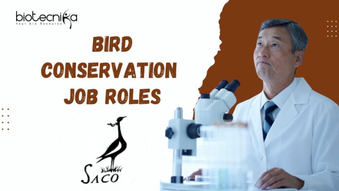 Bird Conservation Jobs at SACON | Apply Now for Exciting Roles