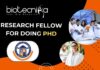 Research Fellow for PhD