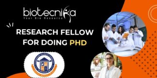 Research Fellow for PhD