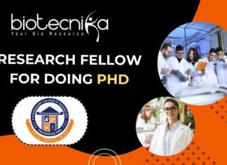 Research Fellow for PhD