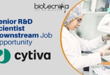 Senior R&D Scientist Downstream Job Opportunity