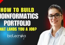 How To Build a Bioinformatics Portfolio