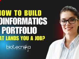How To Build a Bioinformatics Portfolio