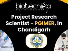Project Research Scientist - PGIMER - in Chandigarh