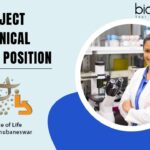 Project Technical Support Position