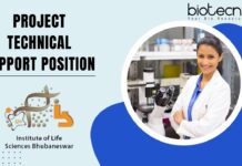 Project Technical Support Position