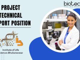 Project Technical Support Position