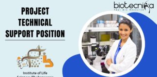 Project Technical Support Position