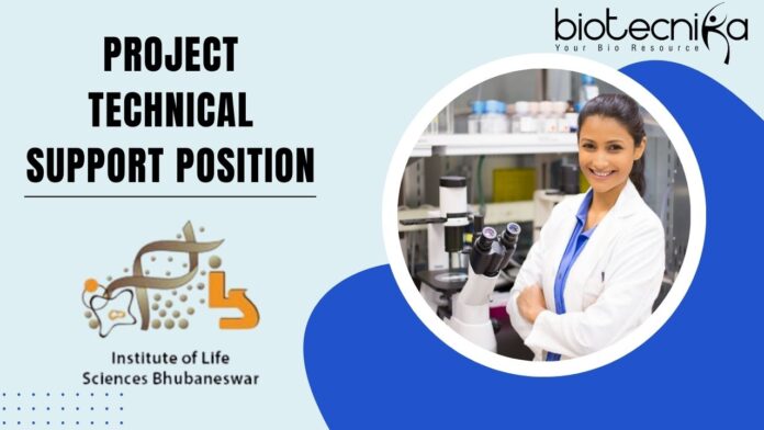Project Technical Support Position