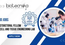 PhD Jobs at IIT Bombay