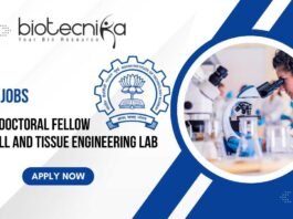 PhD Jobs at IIT Bombay