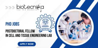 PhD Jobs at IIT Bombay