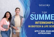 Top Summer Internships 2025