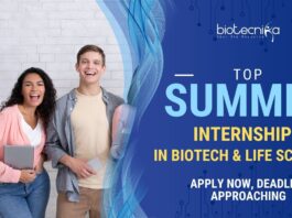 Top Summer Internships 2025