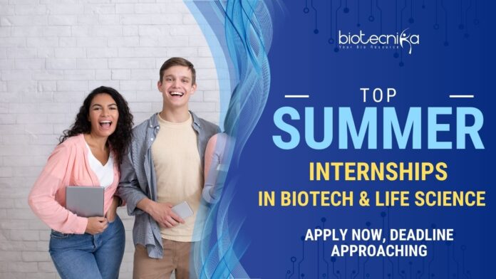 Top Summer Internships 2025