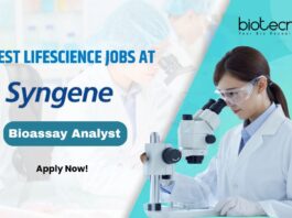 Syngene Bioassay Analyst Vacancies For Biotech & Biochem, Apply Online