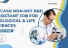 JNCASR Non-NET R&D Assistant Job