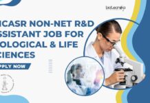 JNCASR Non-NET R&D Assistant Job