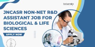 JNCASR Non-NET R&D Assistant Job