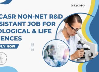 JNCASR Non-NET R&D Assistant Job
