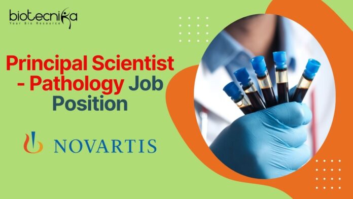 Principal Scientist - Pathology Job Position