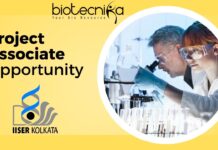 Project Associate Opportunity