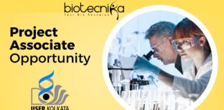 Project Associate Opportunity