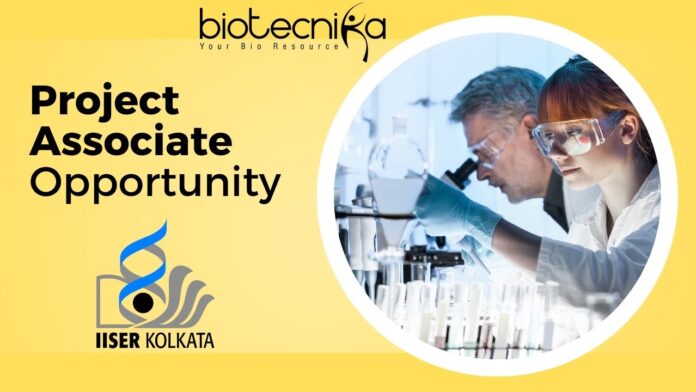 Project Associate Opportunity