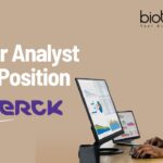 Senior Analyst Job Position