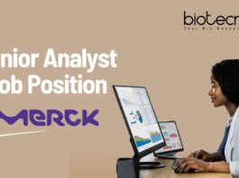 Senior Analyst Job Position