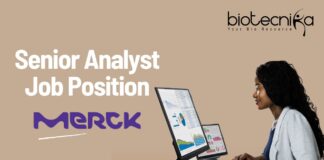Senior Analyst Job Position