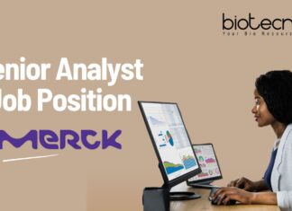 Senior Analyst Job Position