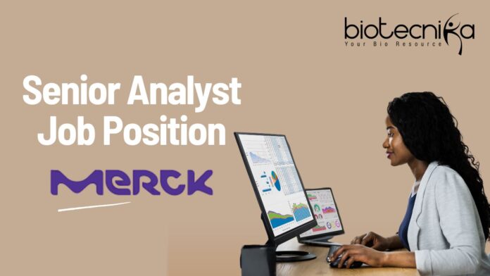 Senior Analyst Job Position