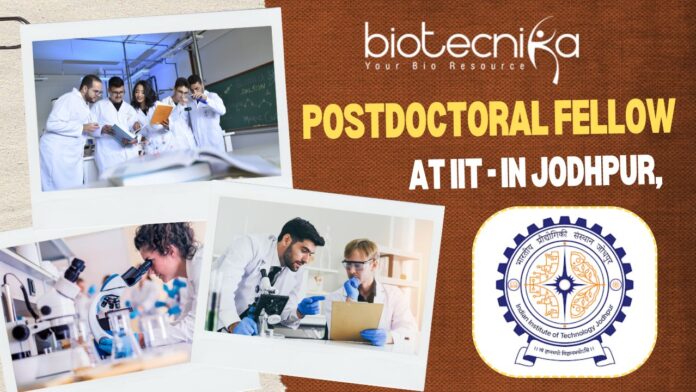  Postdoctoral Fellow at IIT - in Jodhpur