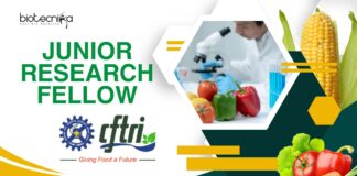 CFTRI Junior Research Fellow Position — Freshers Apply Now!