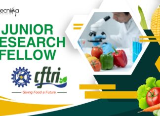 CFTRI Junior Research Fellow Position — Freshers Apply Now!
