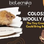 Colossal’s Woolly Mouse