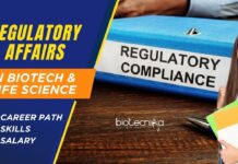 Global Regulatory Affairs Career