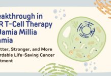 Breakthrough in CAR T-Cell Therapy