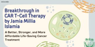 Breakthrough in CAR T-Cell Therapy