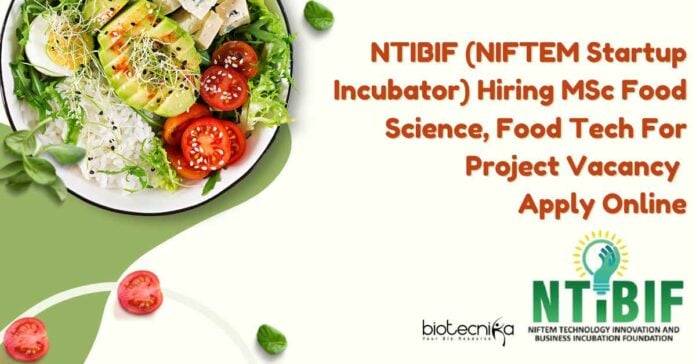 NIFTEM Project Vacancies For Food Science