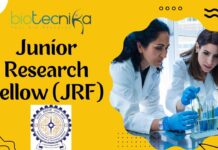Junior Research Fellow (JRF) at IIT Jodhpur – Apply for a Research Position in Life Sciences Junior Research Fellow IIT Jodhpur – Apply Now!