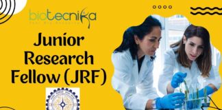 Junior Research Fellow IIT Jodhpur – Apply Now!