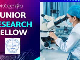 Junior Research Fellow – NISER Bhubaneswar Apply Now for 2025 Recruitment